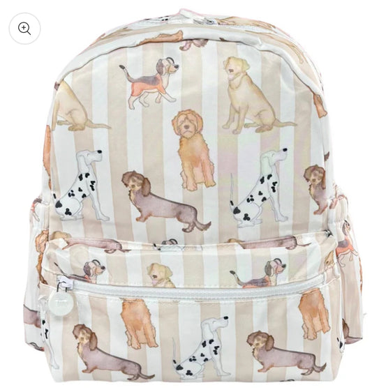 Back Pack
